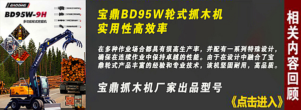 寶鼎95輪式抓木機型號