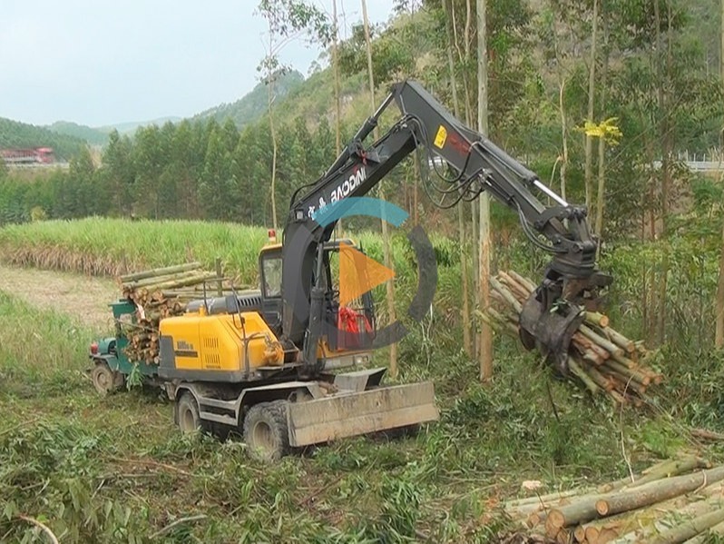 寶鼎抓木機廠家廣西抓木機95型號山地林場作業視頻