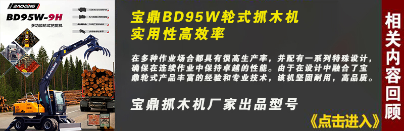 寶鼎95抓木機型號