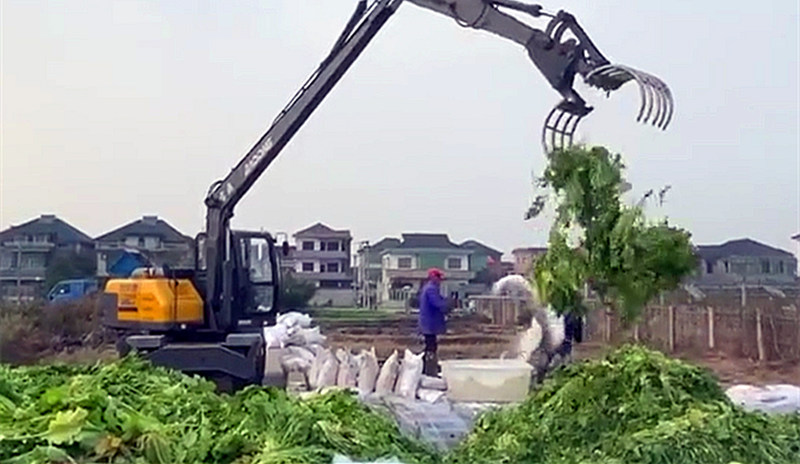 寶鼎定制型加長臂輪式抓料機